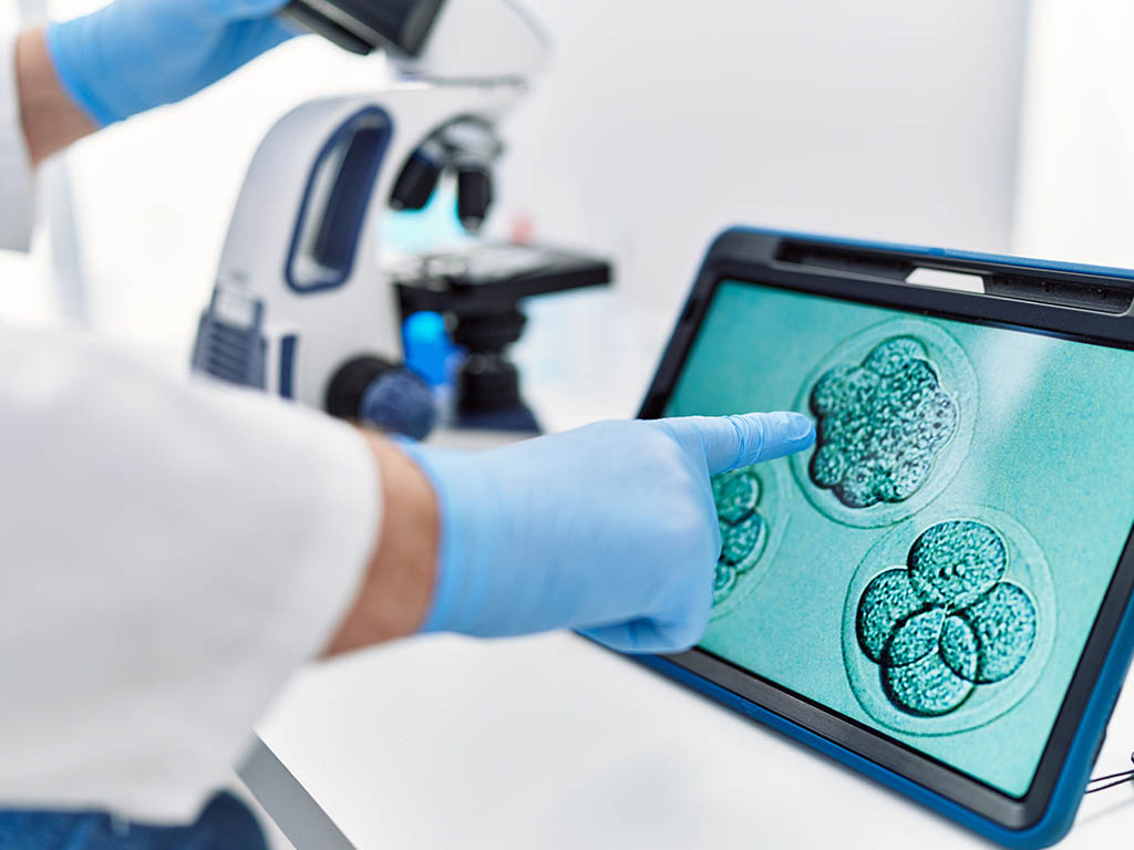 infertility clinic, IVF Lebanon, fertility preservation, and genetic testing for IVF